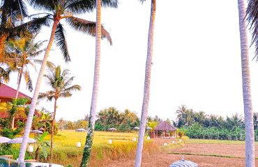Qué hacer en Bali