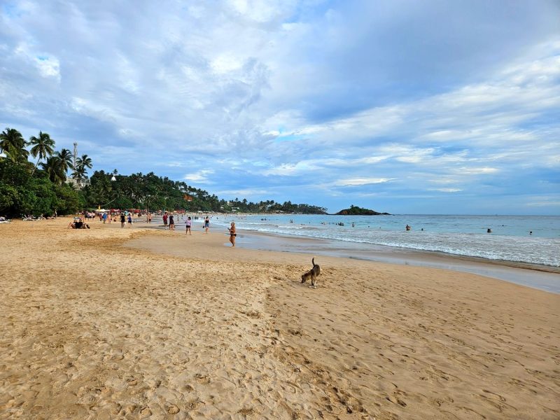 Mirissa
