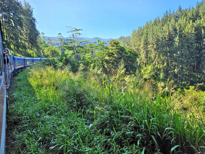 Tren de Kandy a Ella