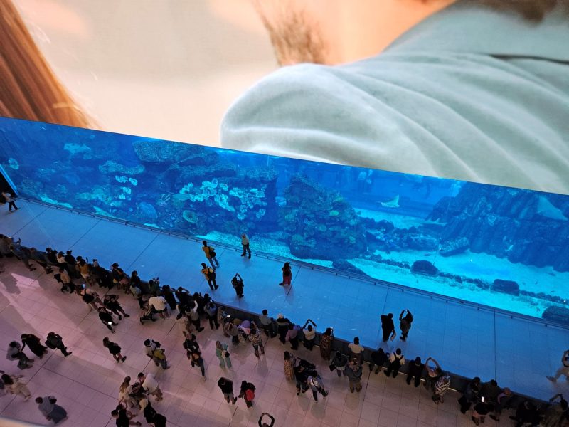 Qué hacer en Dubái: Dubai Aquarium