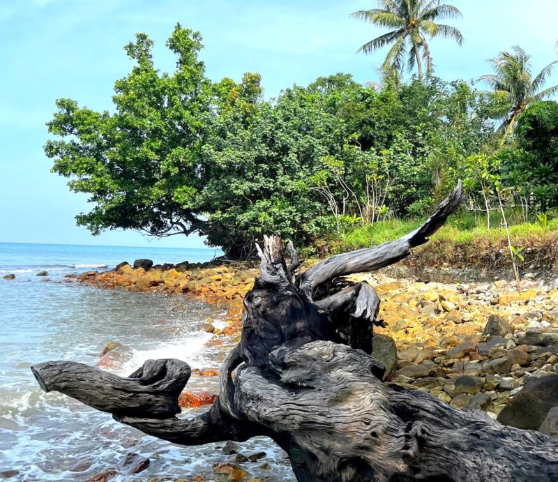 Dónde dormir en Koh Chang: Pearl Beach