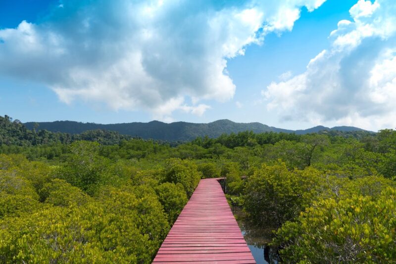 Puente Rojo