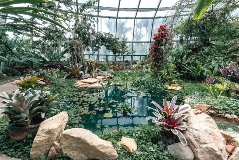 Tropicario Bogotá