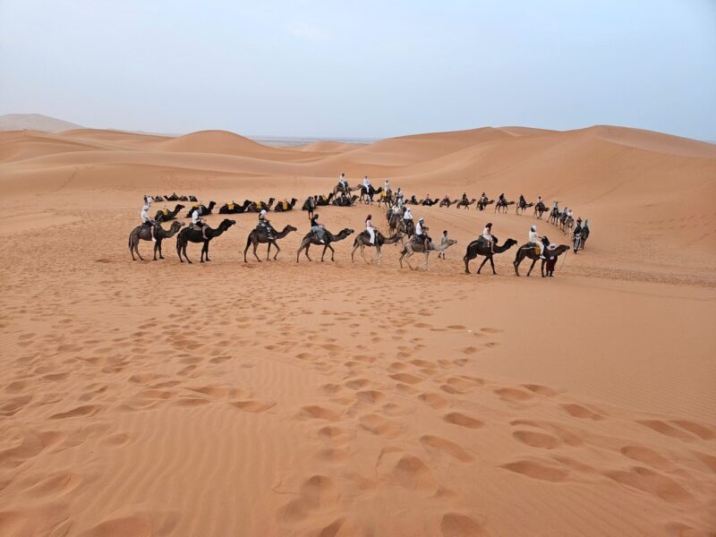 Excursión al desierto de Marruecos