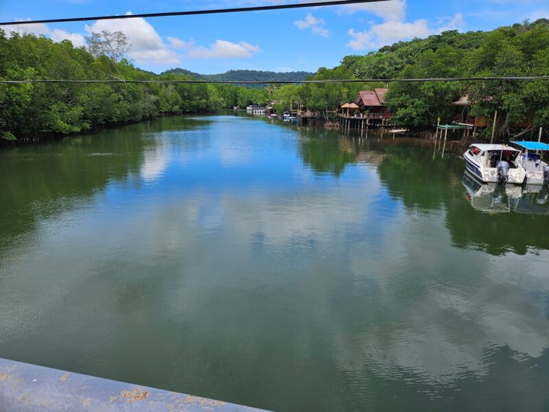 Manglares Khlong Chao