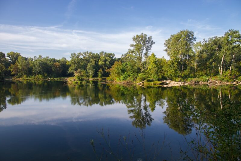 Donau-Auen