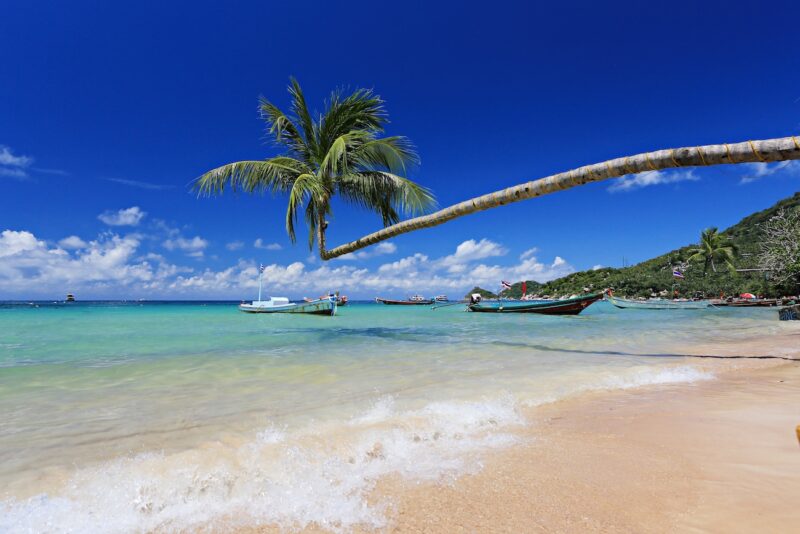 Koh Tao