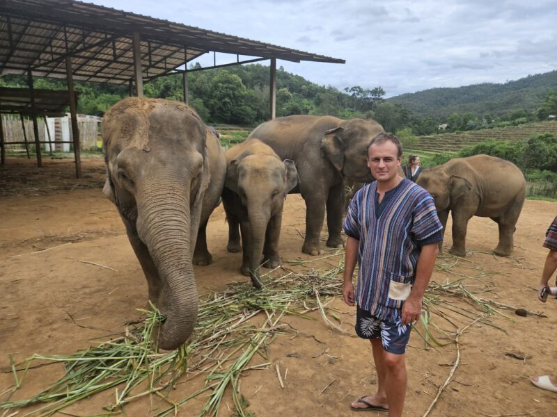 Campo de elefantes en Chiang Mai