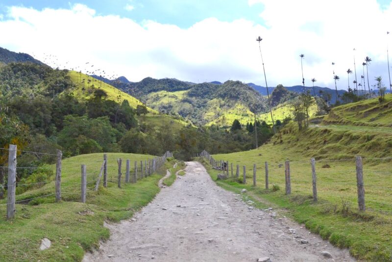 Entrada al Valle del Cocora