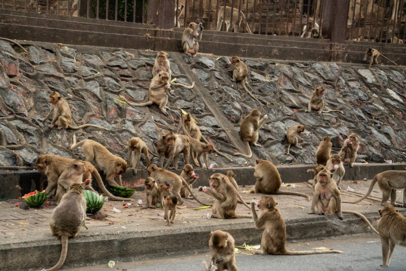 Tailandia en 21 d&iacute;as