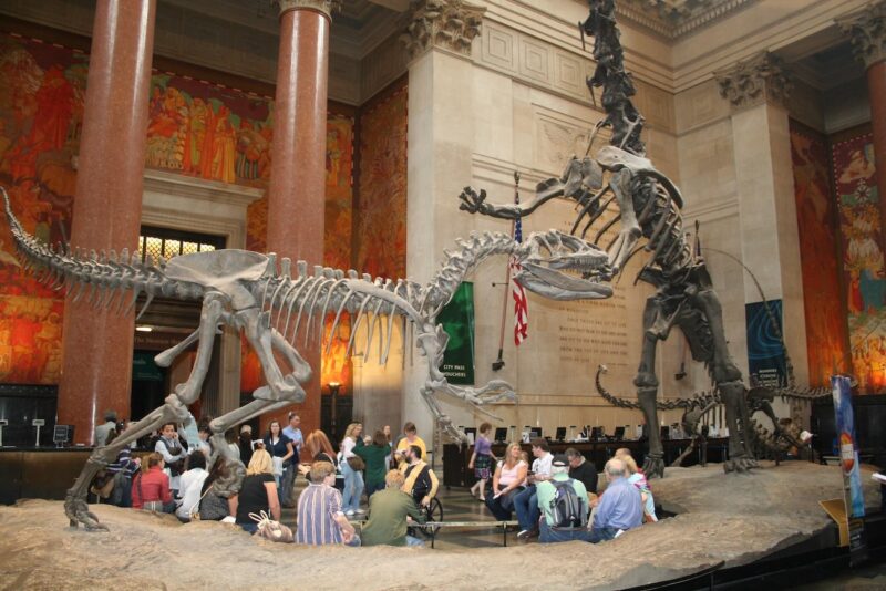 Museo de Historia Natural de Nueva York