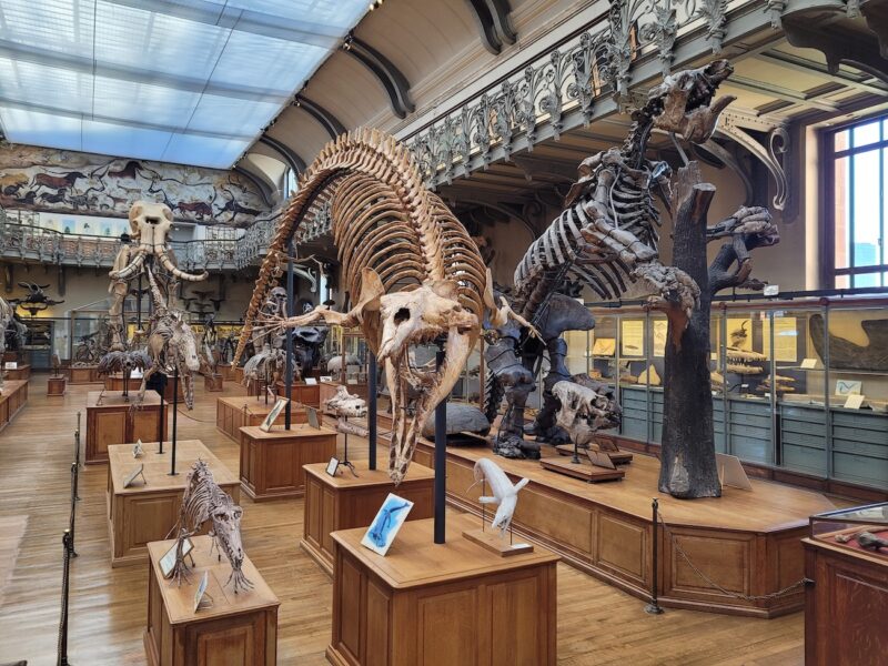 Museo de Historia Natural de Par&iacute;s