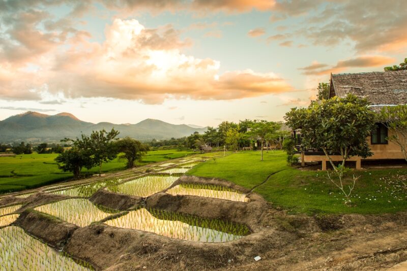 Itinerario para visitar Tailandia en tres semanas
